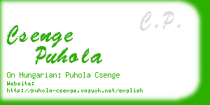 csenge puhola business card